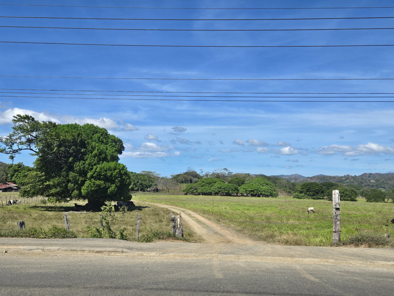 Finca Laguna de Tamarindo