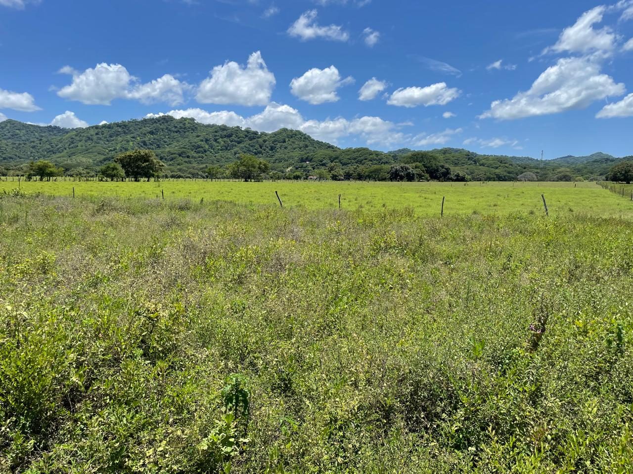 Finca Laguna de Tamarindo photo 2
