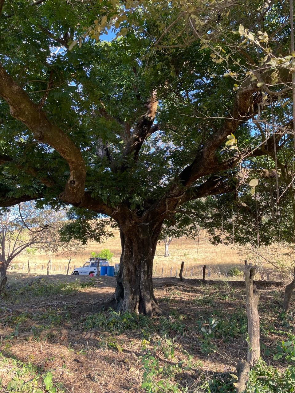 Finca Laguna de Tamarindo photo 5
