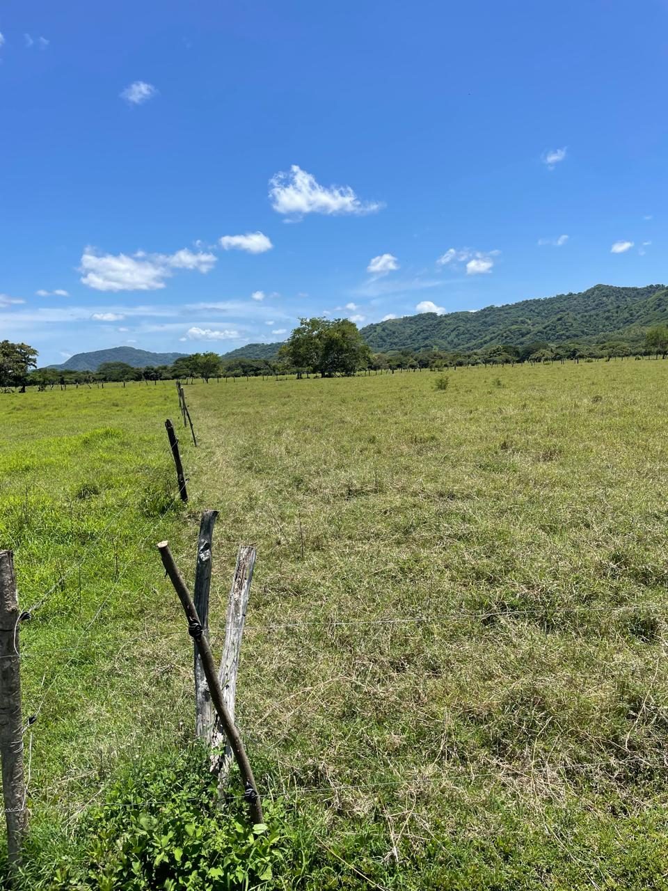 Finca Laguna de Tamarindo photo 7
