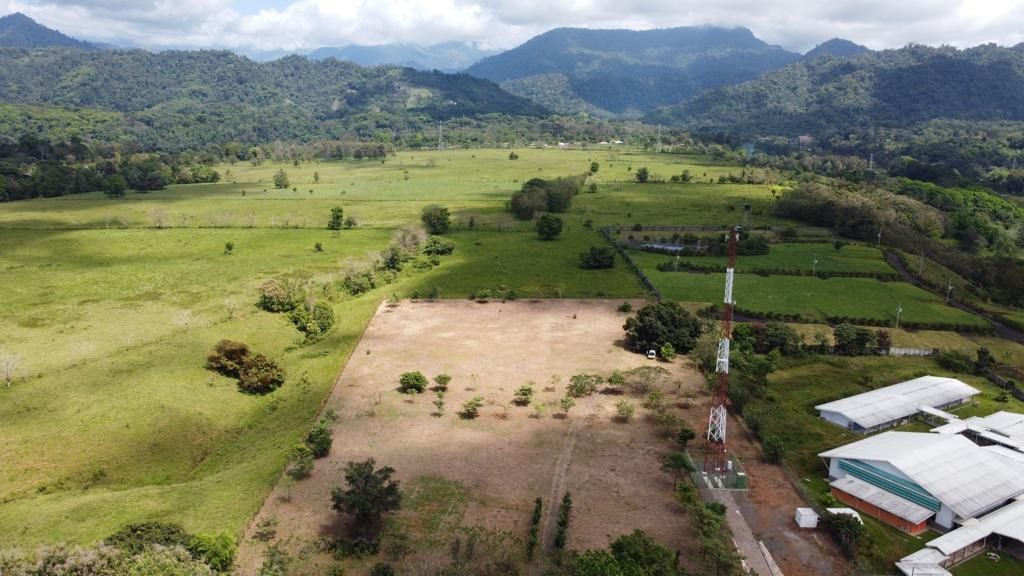 Land in Londres, Naranjito