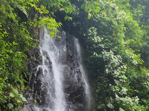 Finca Rincon de la Vieja