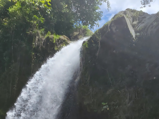 Finca Rincon de la Vieja