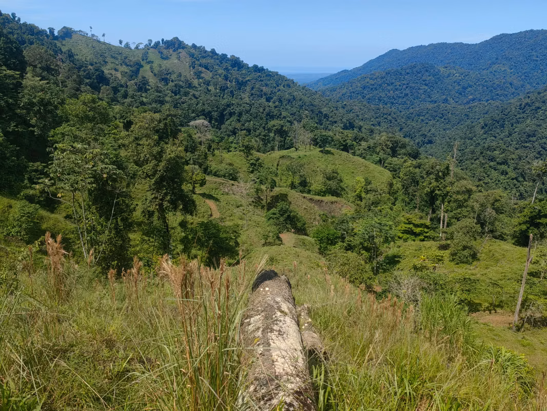 Finca Cafetalera de 201 Hectareas con Vista al Oceano Pacifico 03