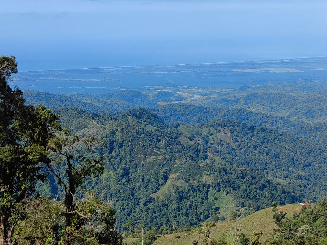 Finca Cafetalera de 201 Hectareas con Vista al Oceano Pacifico 07