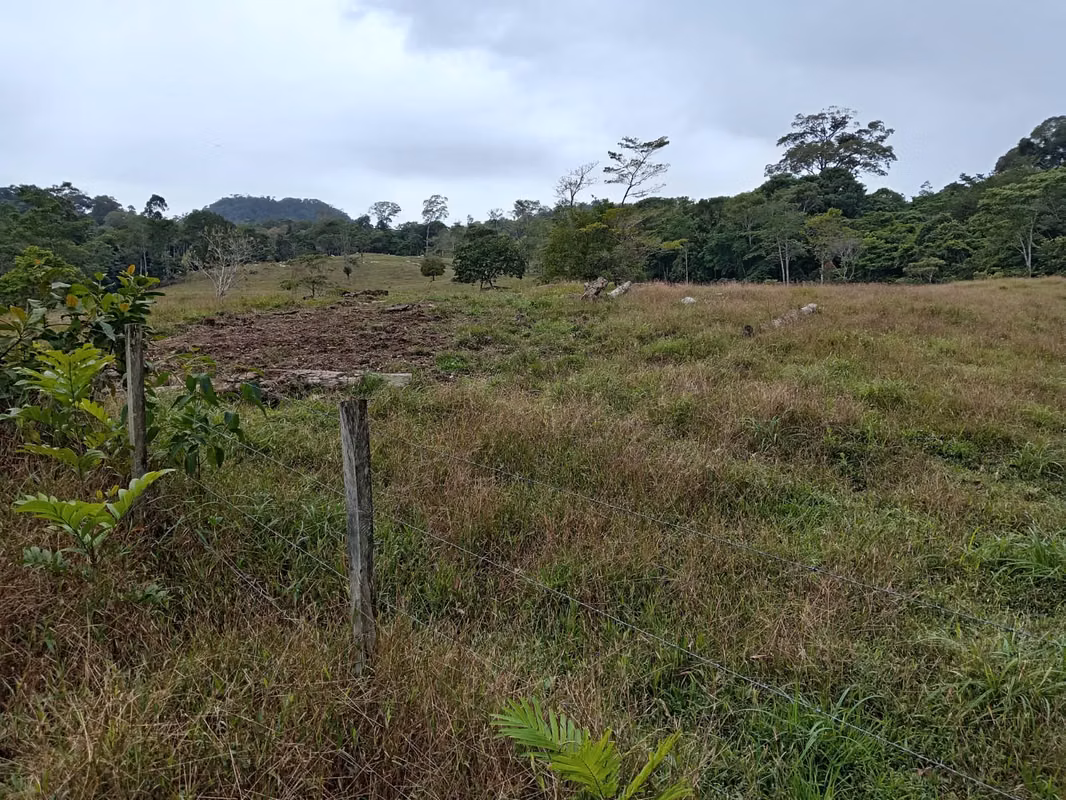 Venta de Finca Productiva de 151 Hectáreas Sarapiquí La Delia Heredia 04