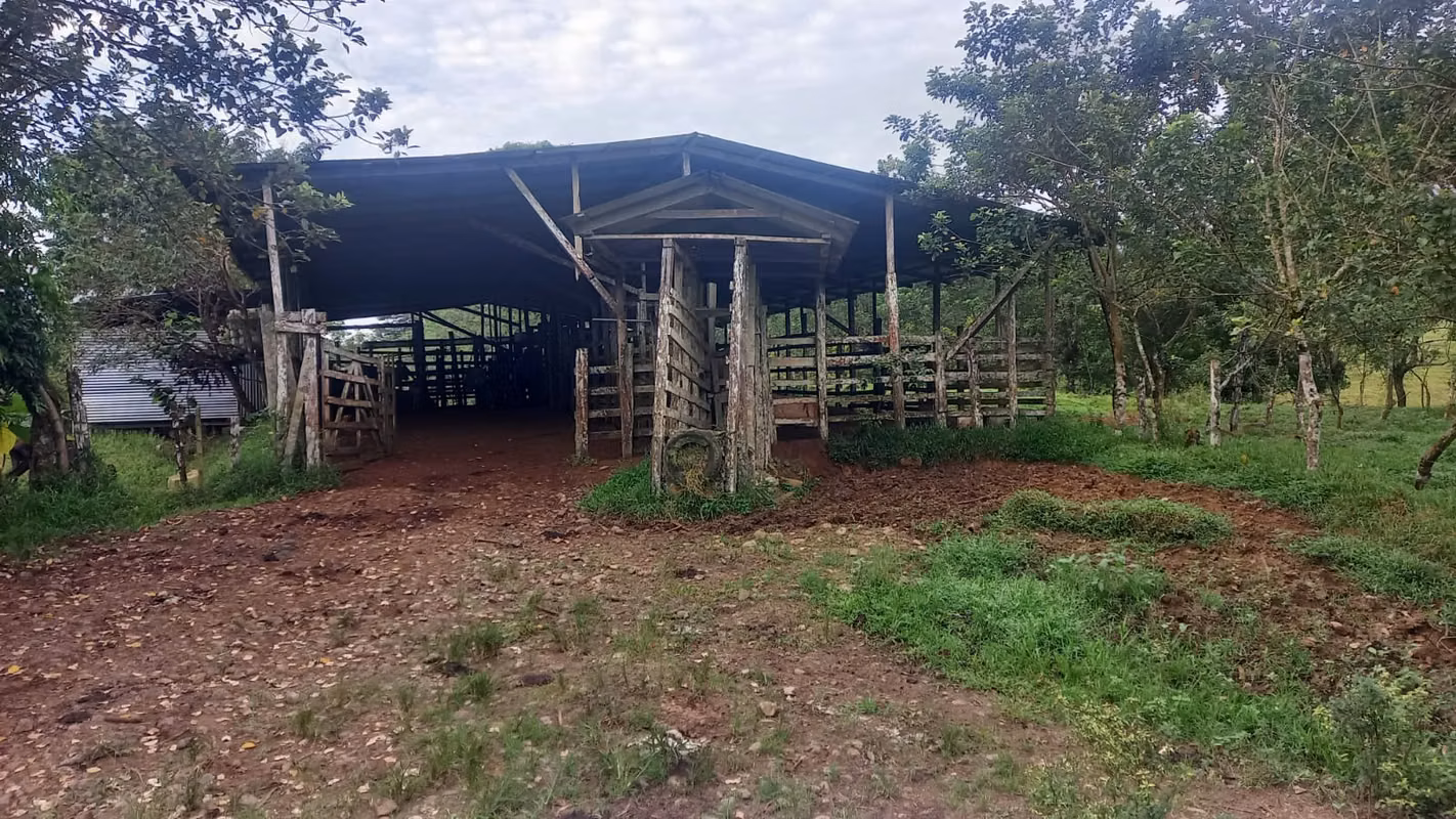 Venta de Finca Productiva de 151 Hectáreas Sarapiquí La Delia Heredia 05